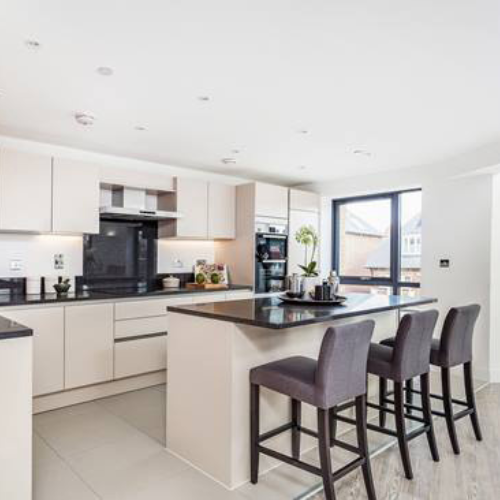 Untitled (500 x 500 px) (11)